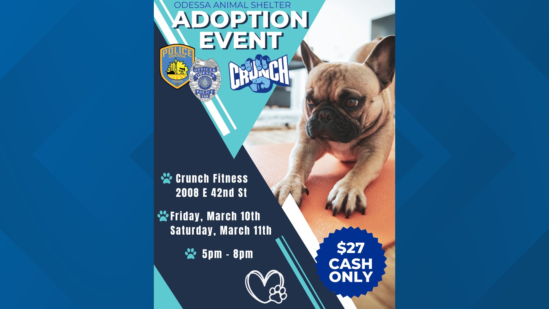 Odessa Animal Shelter to host adoption events on March 10-11 