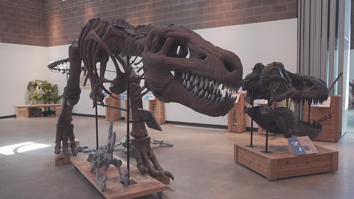 Basin Buzz: Museum of the Southwest opens long-awaited Fredda Turner Durham Children's Museum - Vimarsana News