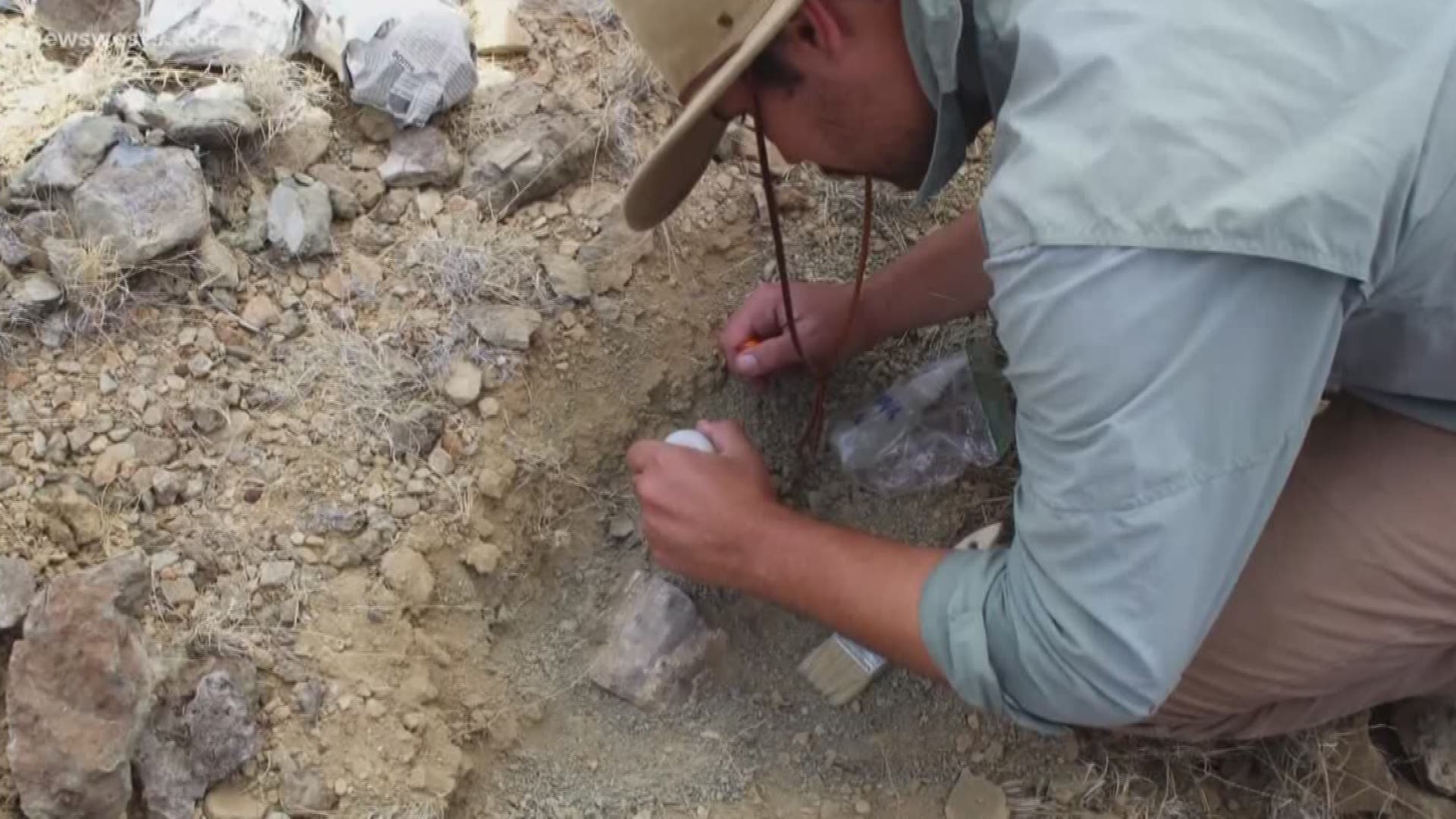 Dr. Thomas Shiller and Steve Wick met in Terlingua back in 2006, and have spent their careers digging up fossils in the Big Bend.