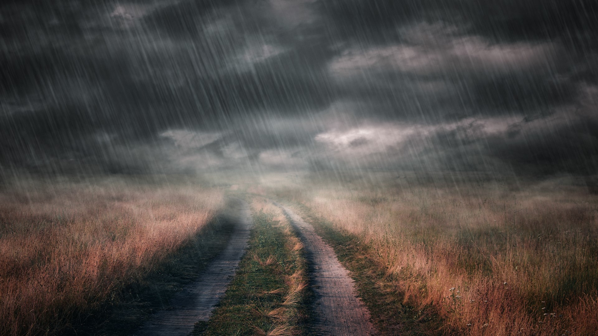 What causes the distinct smell before rain?