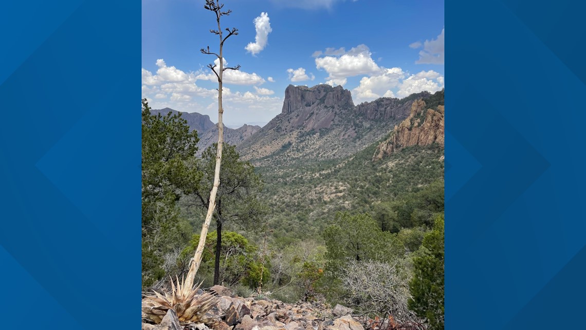 Big Bend National Park to hold its third fee-free day of 2022 on August 4 - Vimarsana News