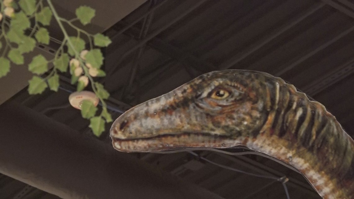 What is the dinosaur exhibit at the Midland County library? - Vimarsana News