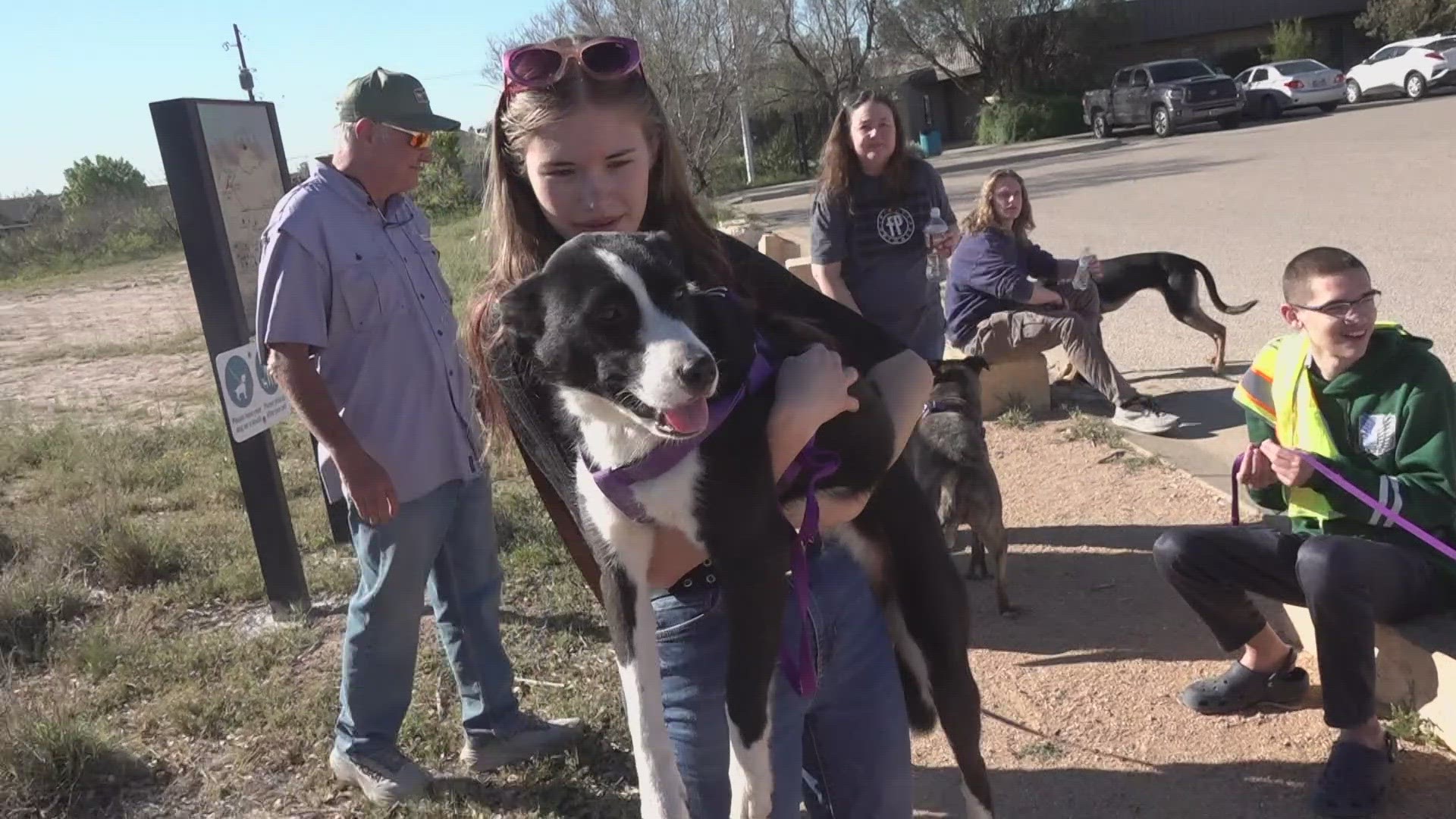 "Hike With A Homeless Pet" and No Kill Shelter, Grand Companions have been partnering with the Sibley Nature Center to get the community out to hike with pets.