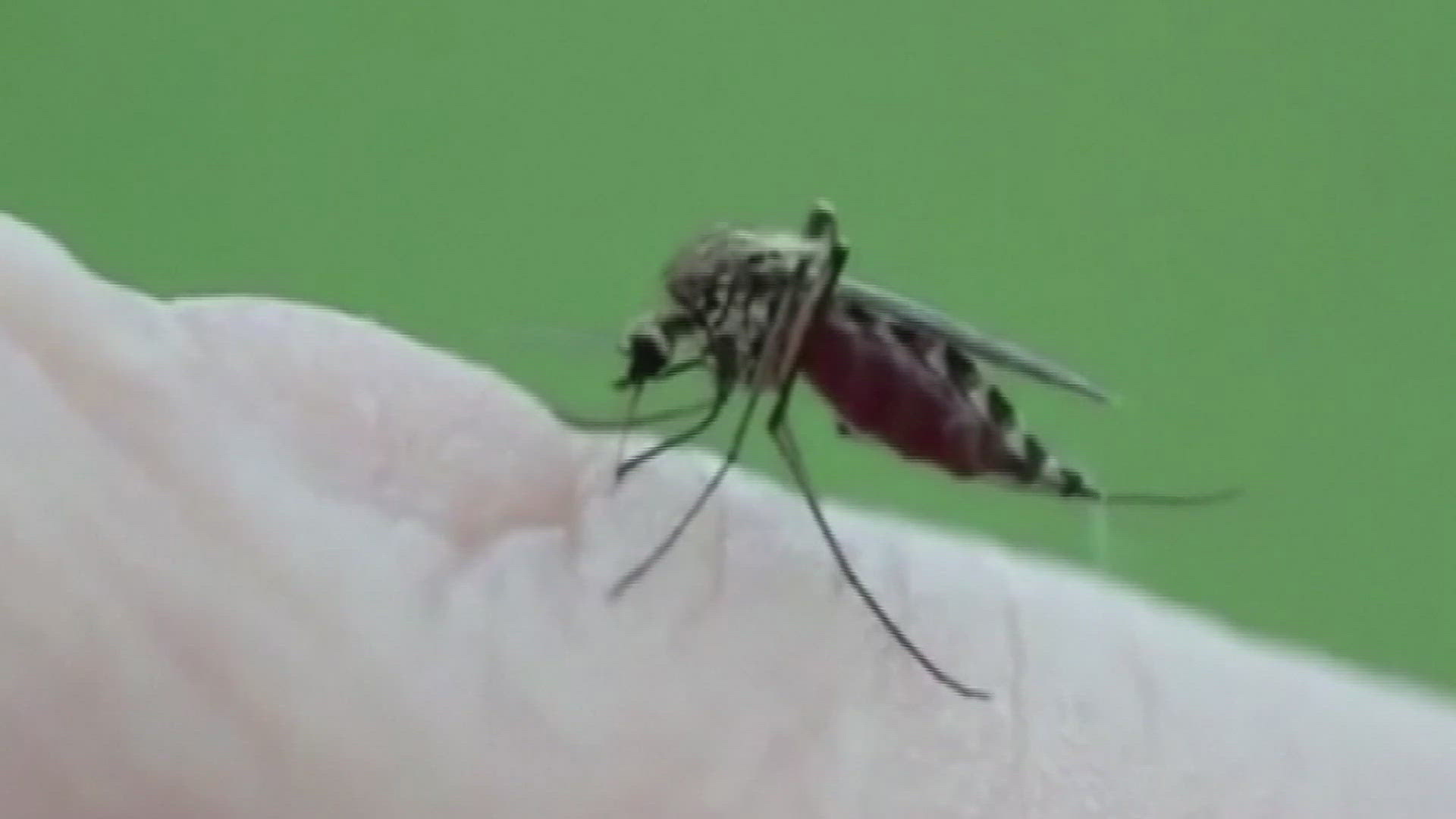 Health Services urges people to not give mosquitos a biting chance by following several tips, including wearing long sleeves and pants and applying insect repellent.