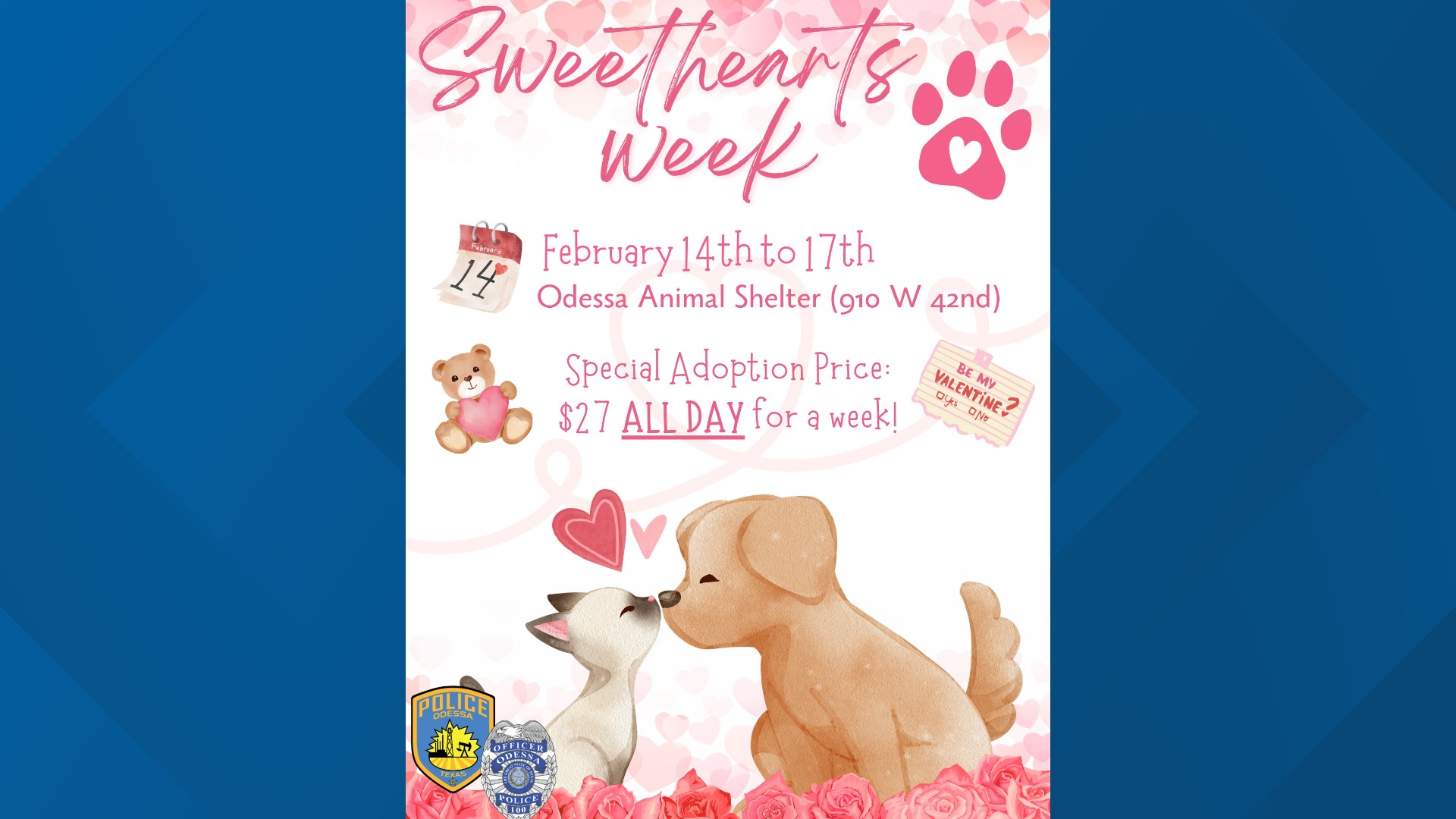 Odessa Animal Shelter to offer Valentine's Day Special from February 14-17  
