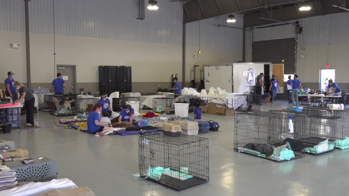 Fix West Texas holding 'Pay What You Can' vaccination and microchip clinic - Vimarsana News