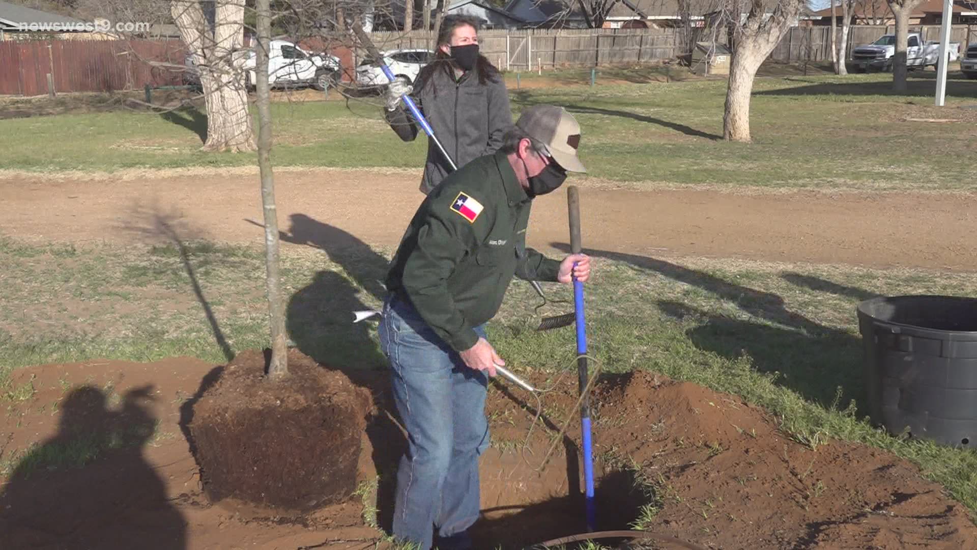 Keep Midland Beautiful, Diamondback Energy, and the City of Midland teamed up to plant trees at Sidwell Park.