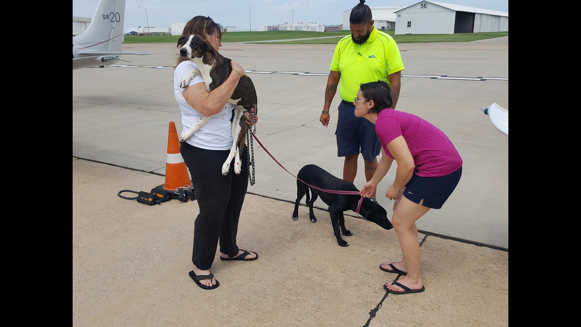 Special needs dog rescued from Odessa Animal Shelter