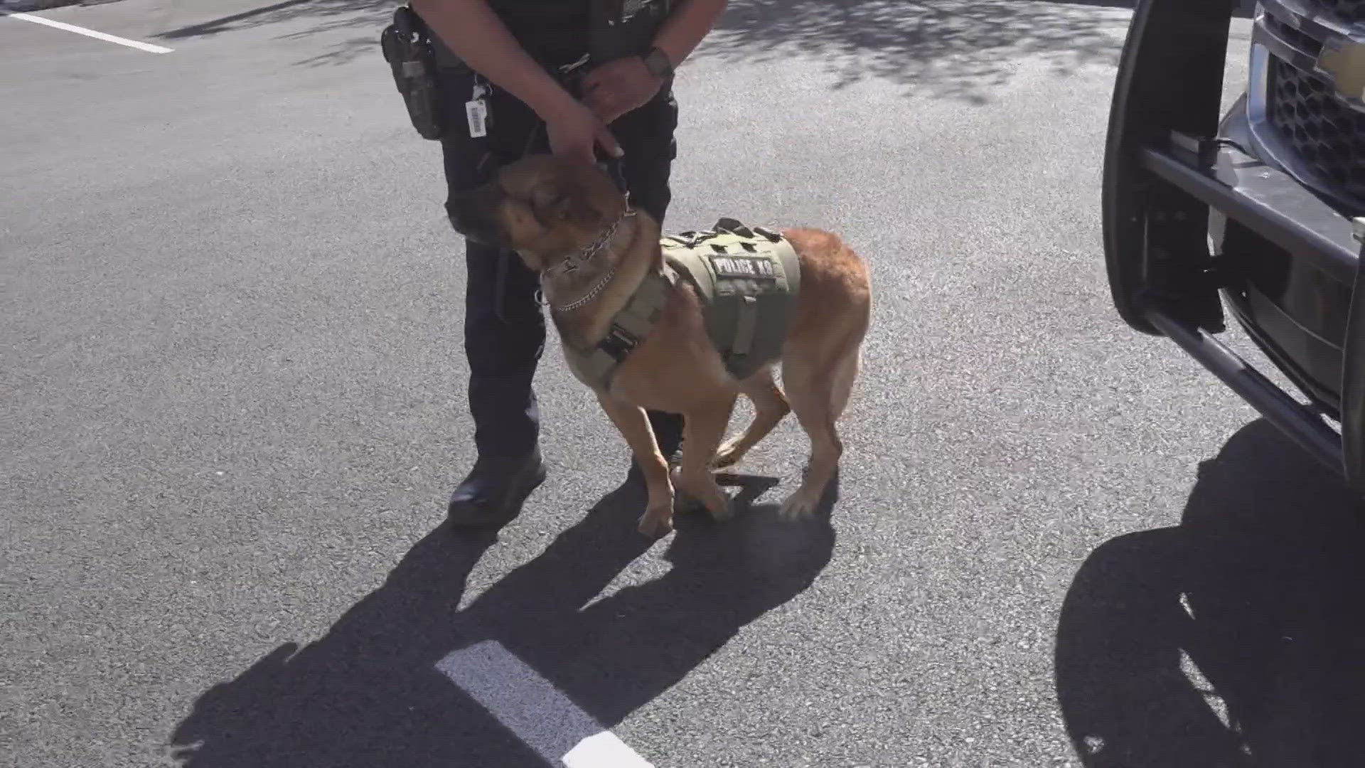 K-9s are back at the Lovington Police Department