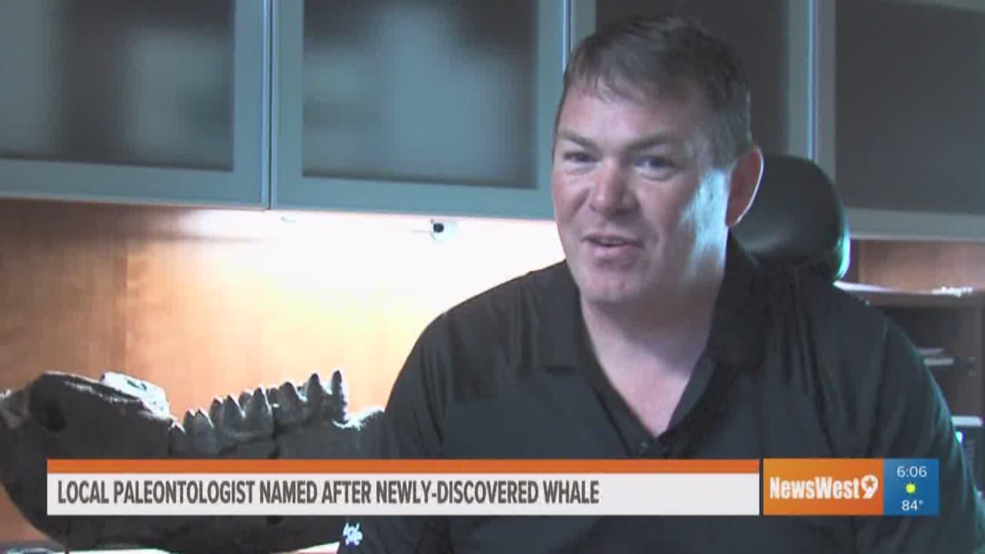 A west Texas paleontologist and a newly-discovered whale genus now share a name