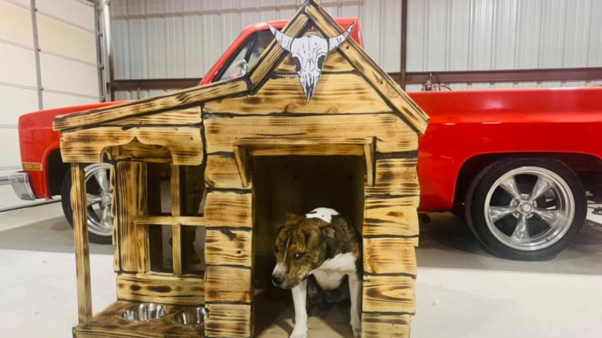 Texas Paw House donating dog houses to Fix West Texas to help pets in ...