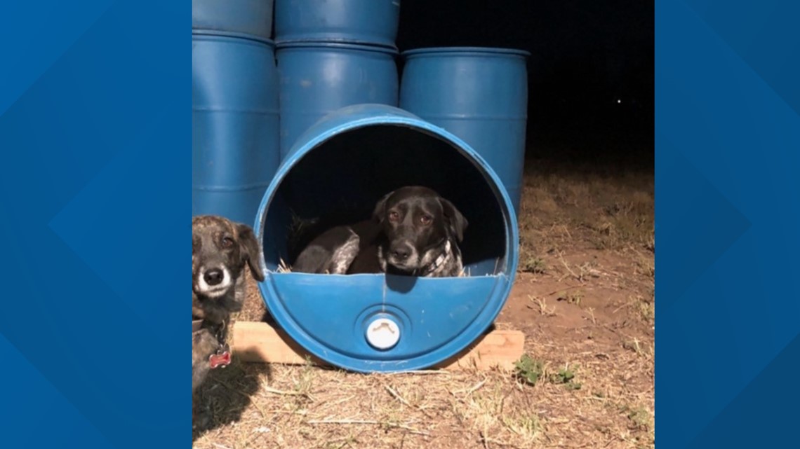 West Texas Nonprofit Creates Shelters For Pets Newswest9