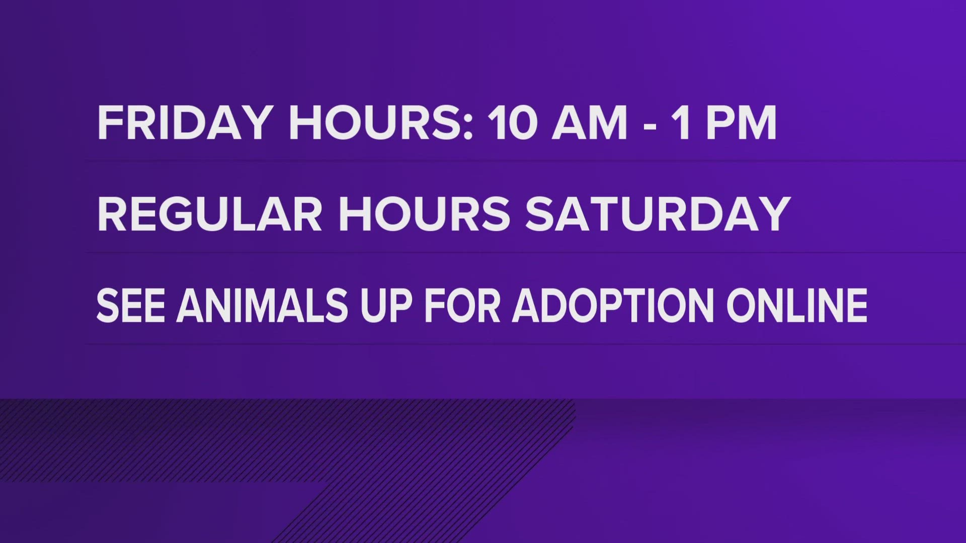 Odessa Animal Shelter to close early on August 18