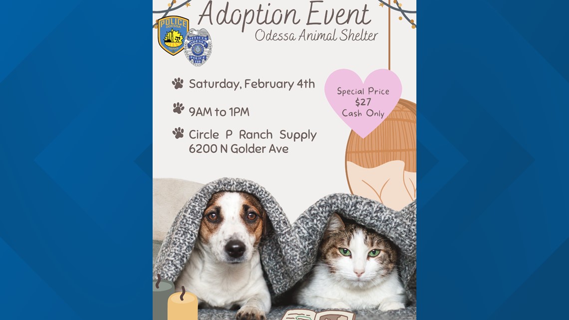 Odessa Animal Shelter to host adoption event on February 4 - Vimarsana News