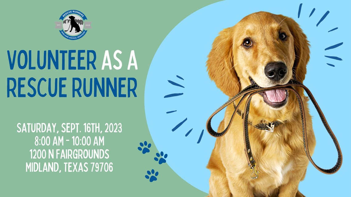 Midland Animal Services to host Rescue Runners Saturday morning - Vimarsana News