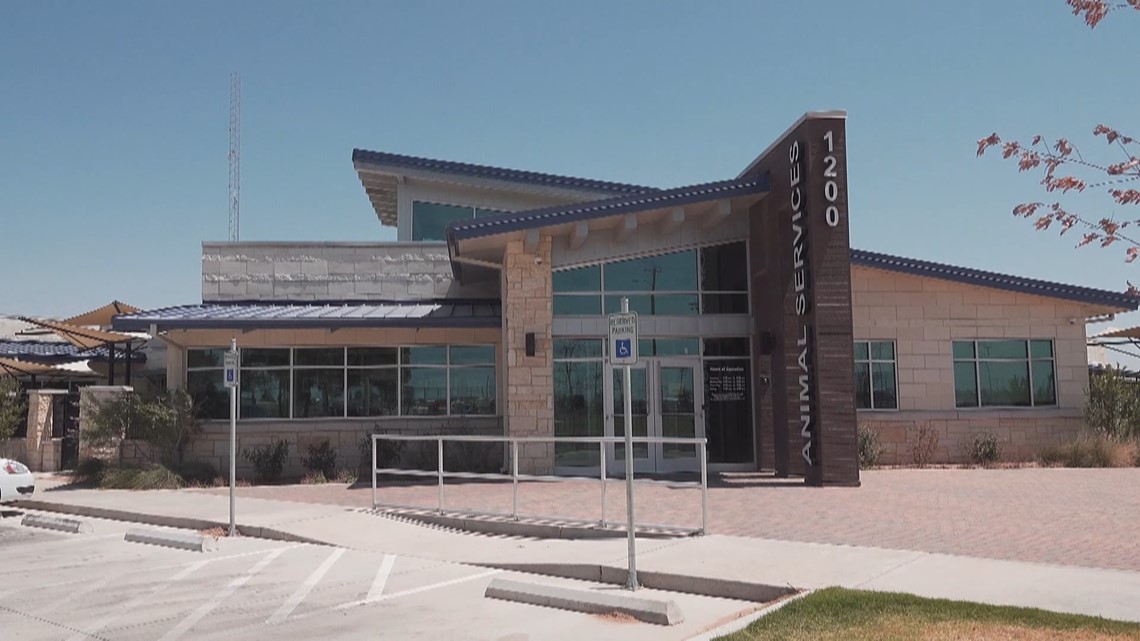 Midland Animal Services searching for a permanent veterinarian - Vimarsana News