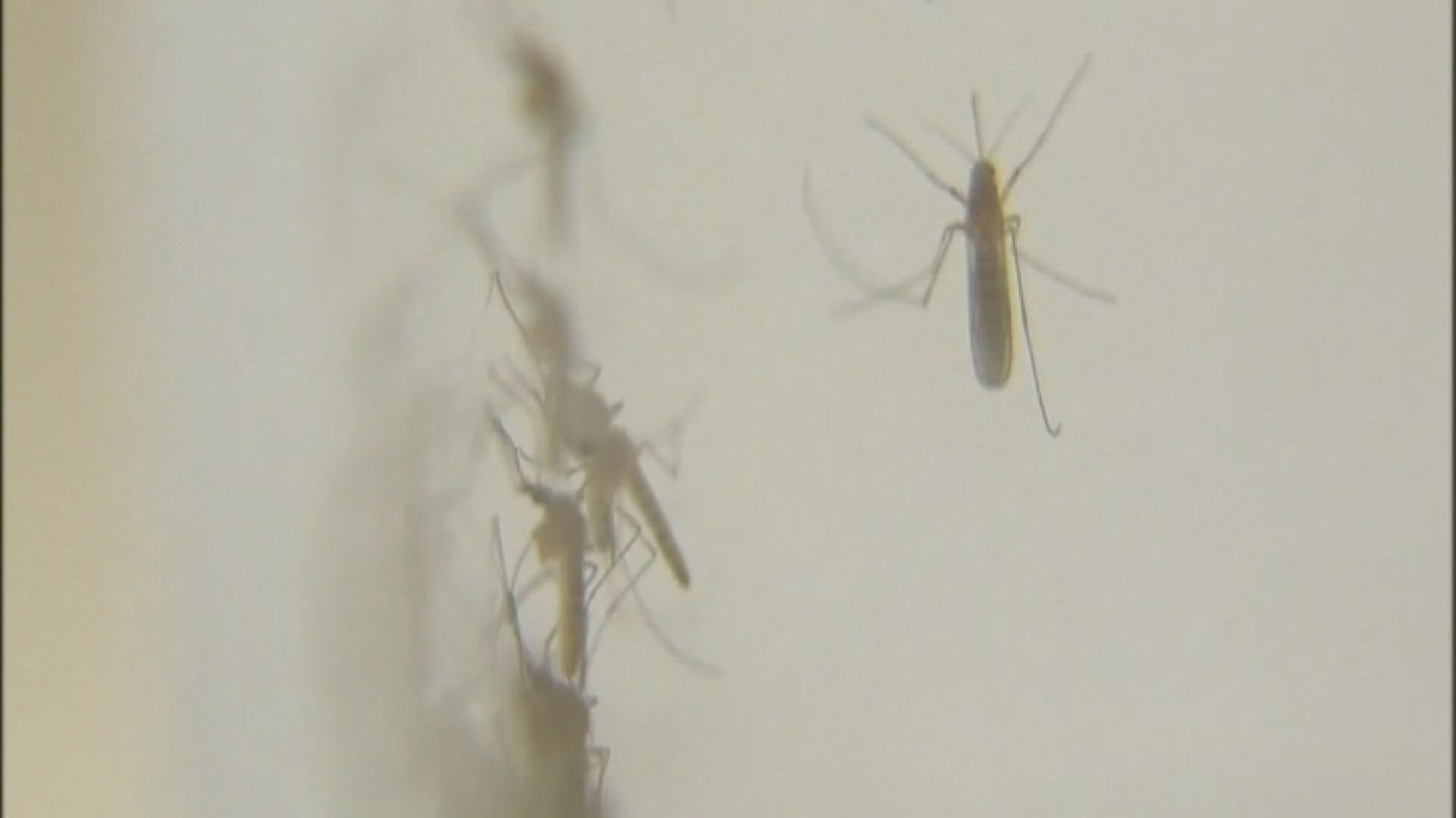 For the first time this year, Midland Health Services has reported their first West Nile Virus case.