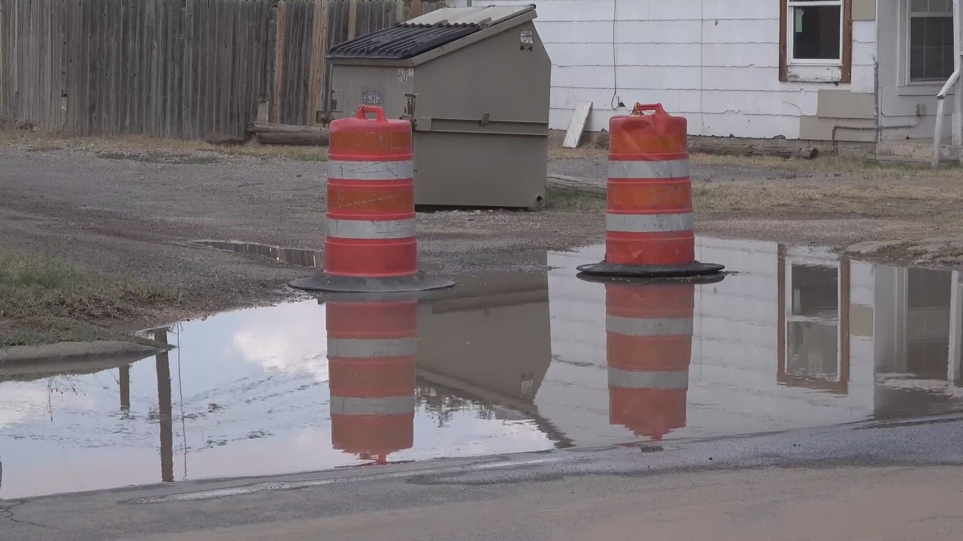 Restricting Water Intake: A Dangerous Housebreaking Trend