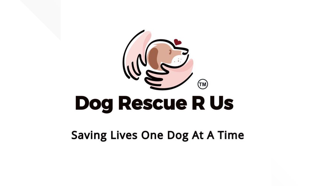 'Dog Rescue R Us' to receive 11,000 grant from Petco Love