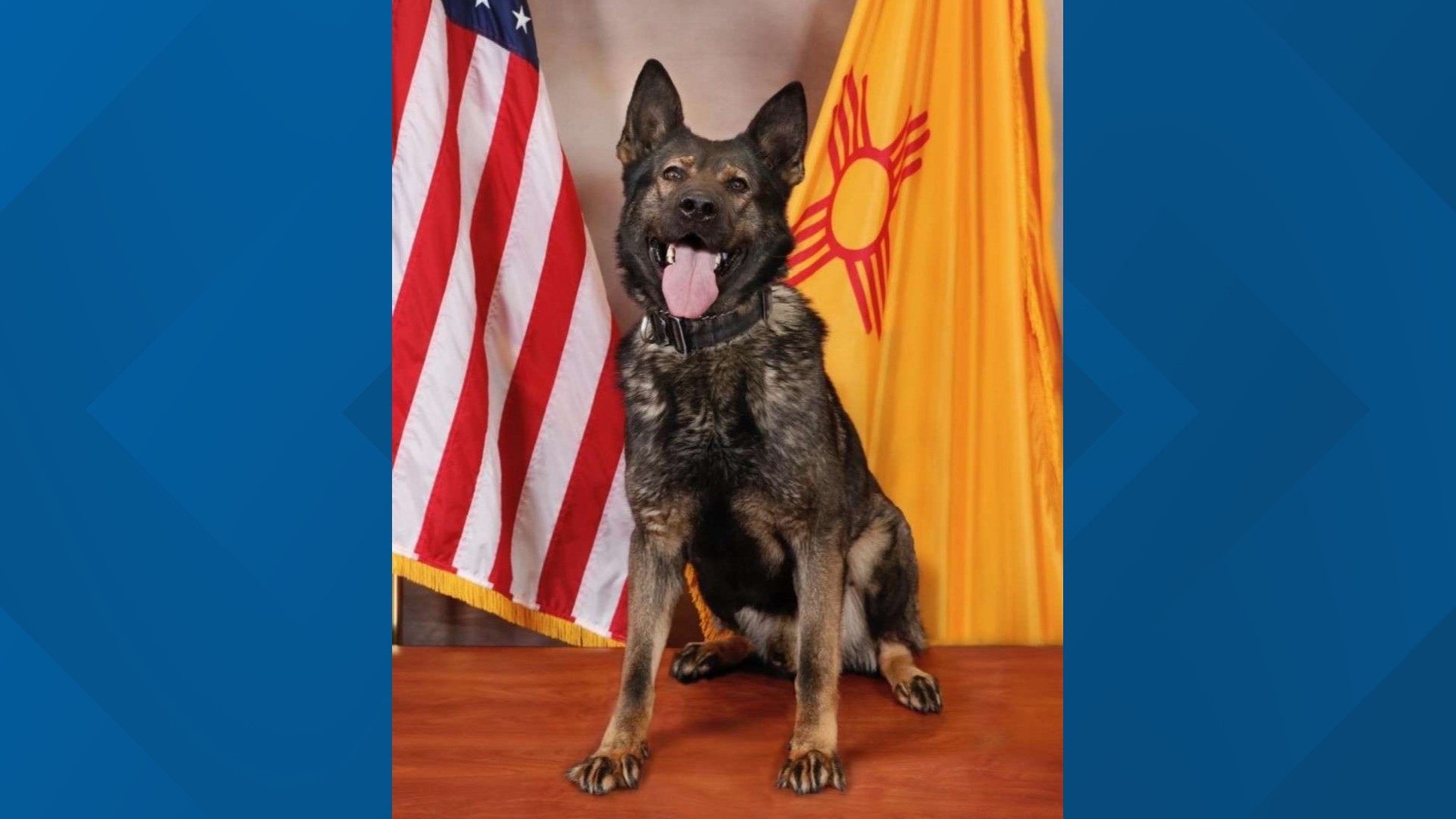 Bady was a trained police K9 in bomb detection, apprehension and tracking alongside his only handler, Sergeant J. Thomas.