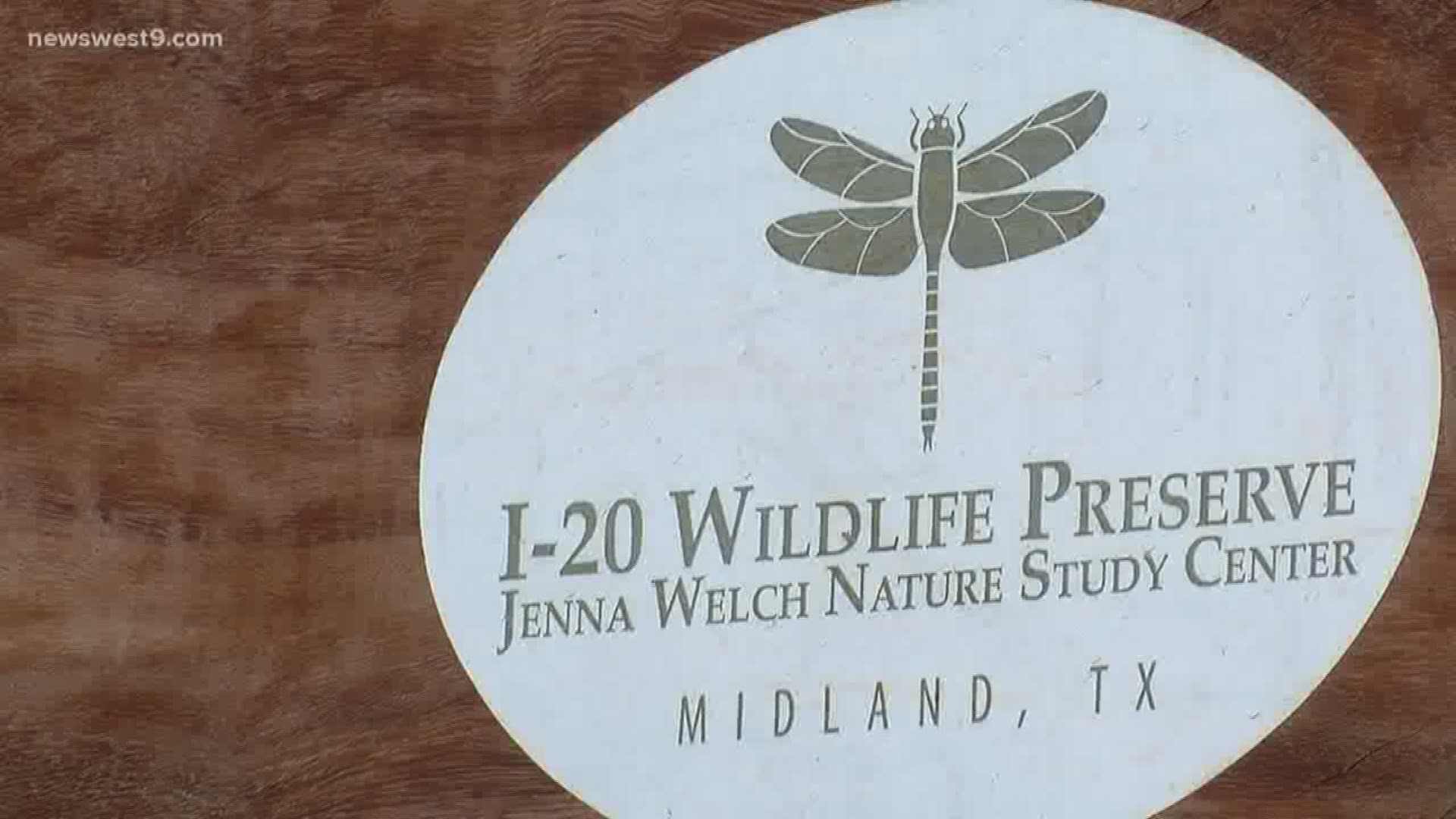 The preserve hopes to soon have a butterfly meadow as well as more classrooms and a space for food trucks.