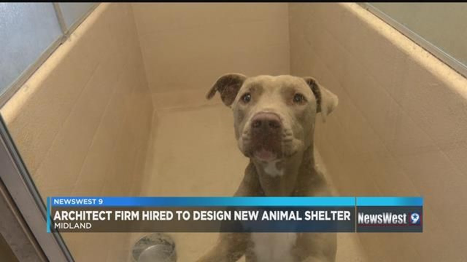 Midland City Council to vote on new animal shelter