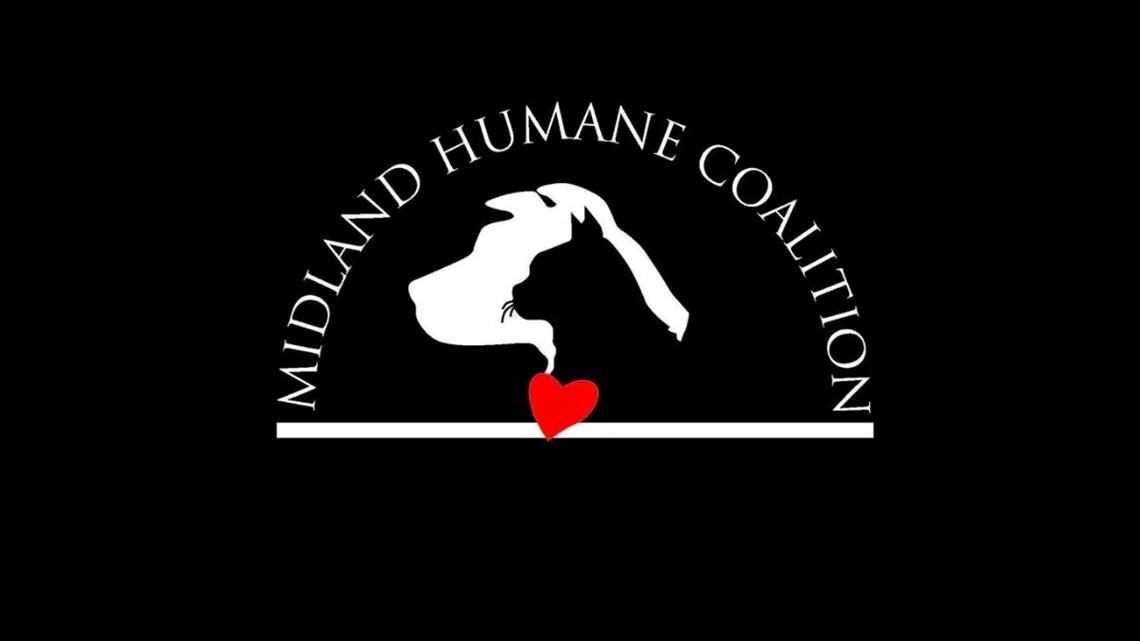 Say No to Pets as Christmas Presents! - Midland Humane Coalition