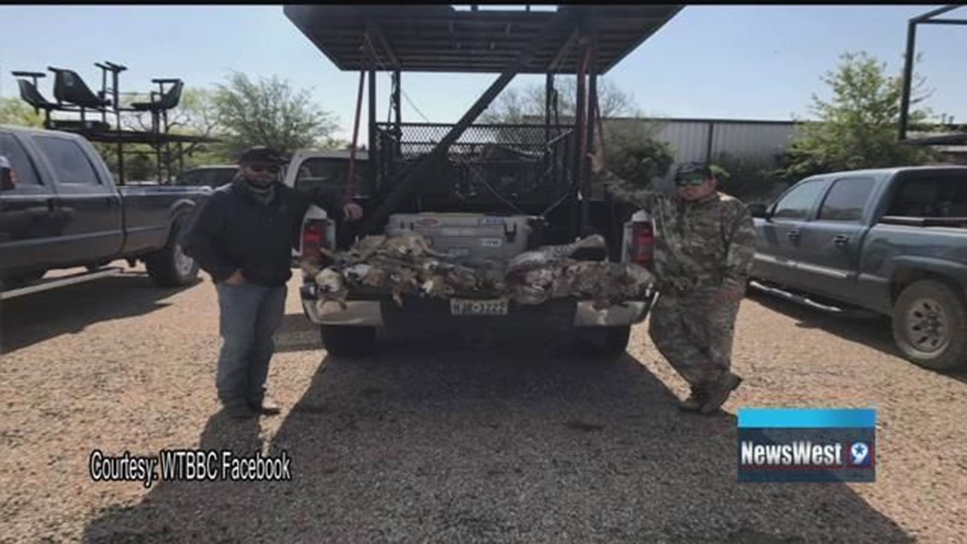 West Texas Big Bobcat Contest attracting hundreds, does more than focus