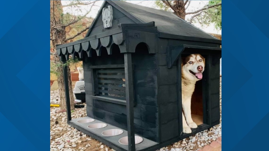 what is needed to house a dog