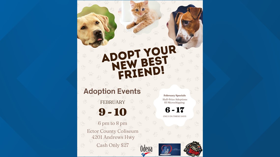 Adoption specials near store me