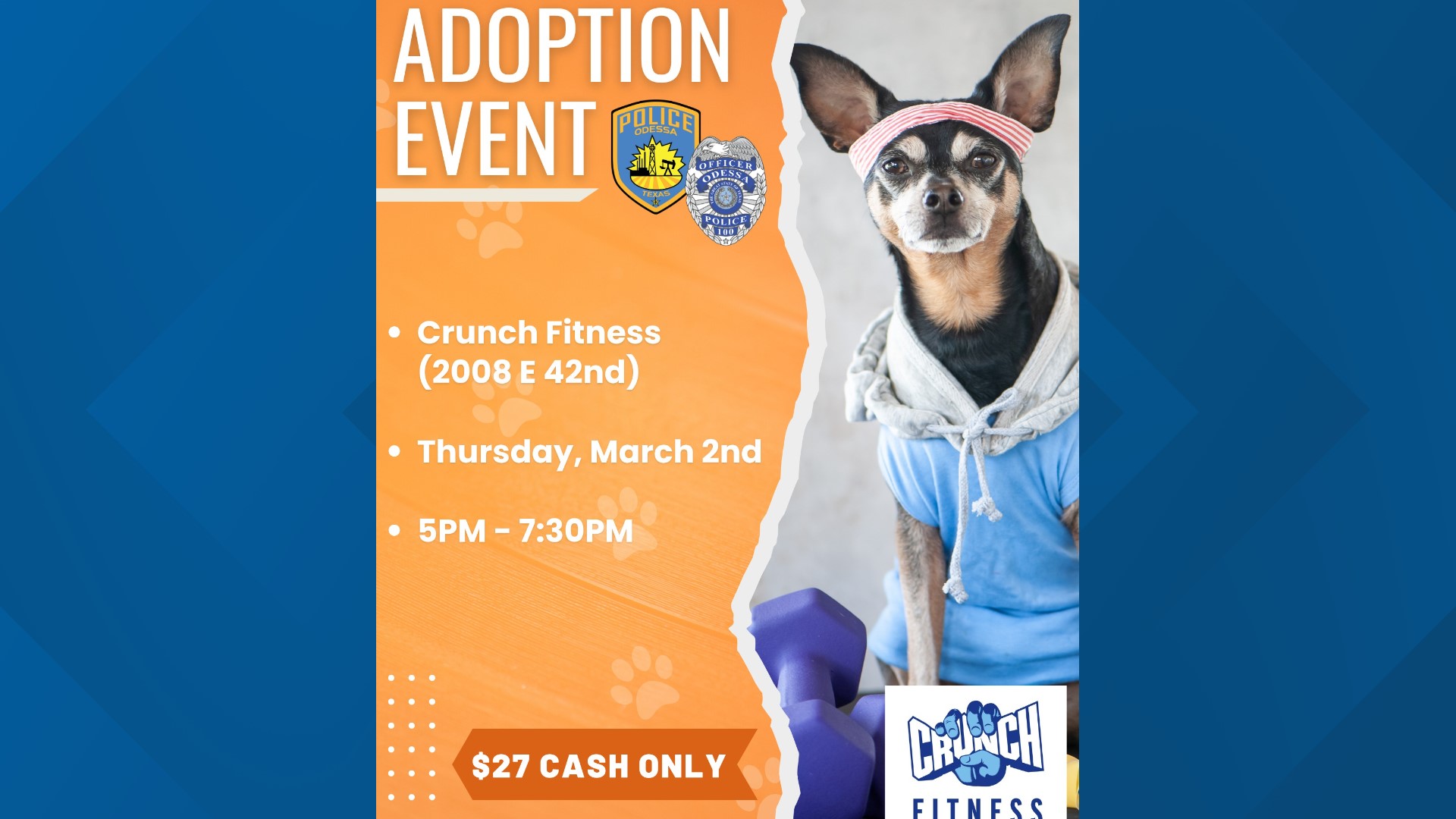 Odessa Animal Shelter to host adoption event on March 2 