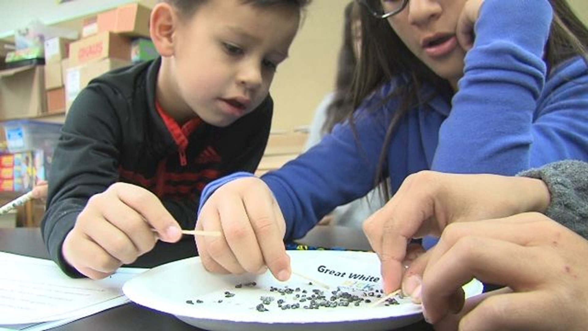 SharkFinder allows kids to be scientists and explore fossils in the classroom