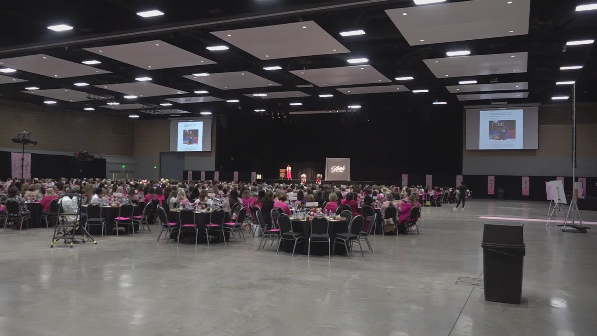 Pink the Basin held their annual luncheon Tuesday to talk about women's health issues and much more.