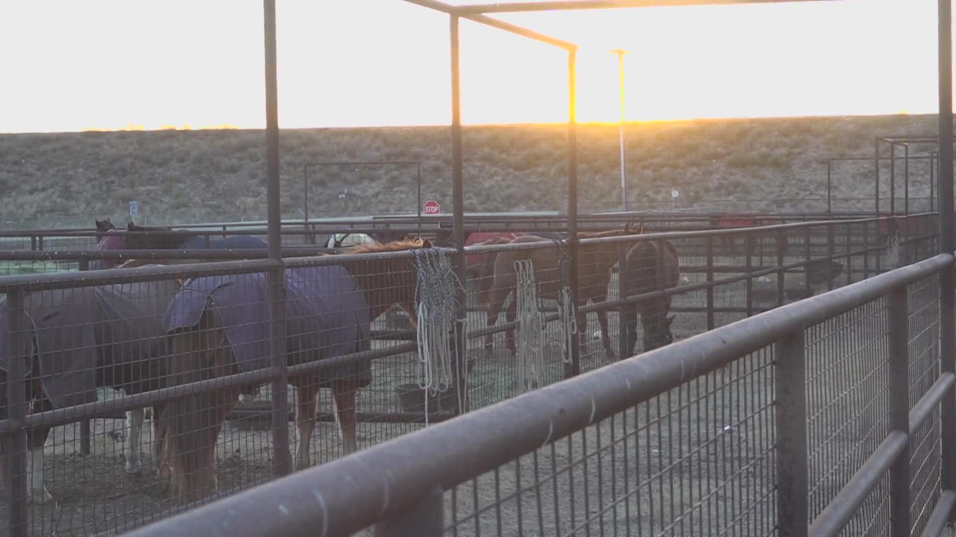 Professional rodeo heads to the Ector County Coliseum for its first event of the year, once again making this West Texas action unique.