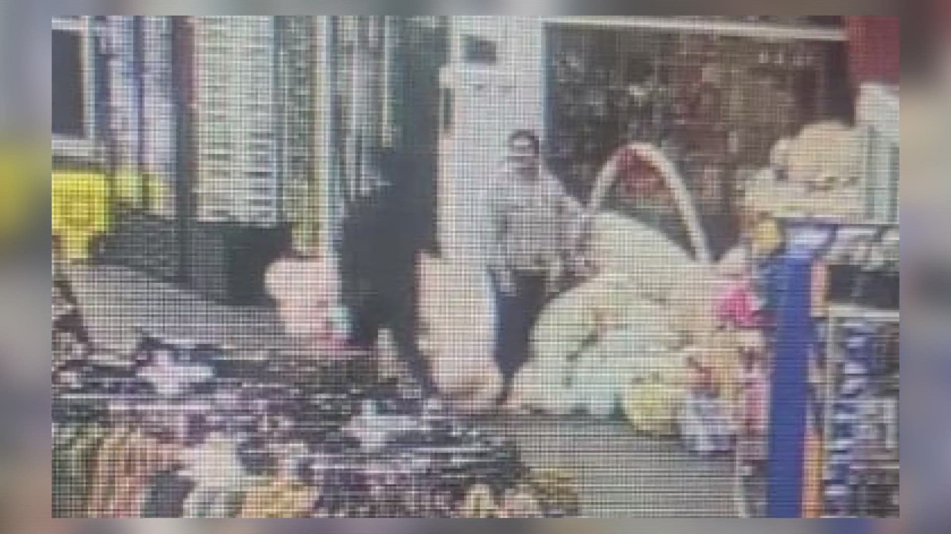 Two people walked out of Main Street Market without paying for $200 worth of large teddy bears, ECSO says.