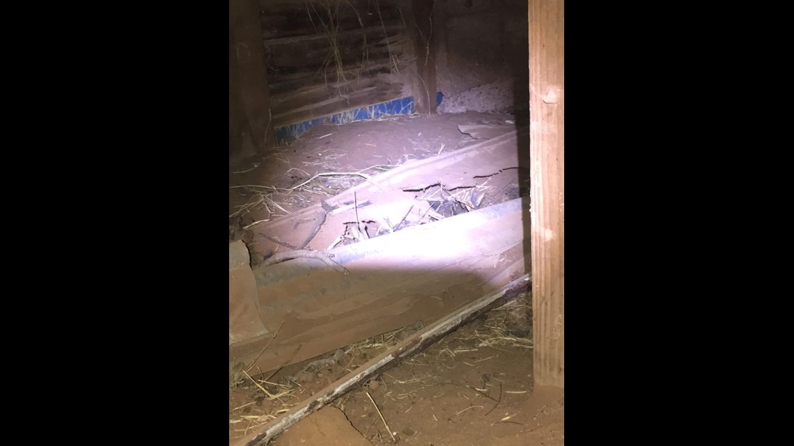 Snake removed from inside family's toilet 