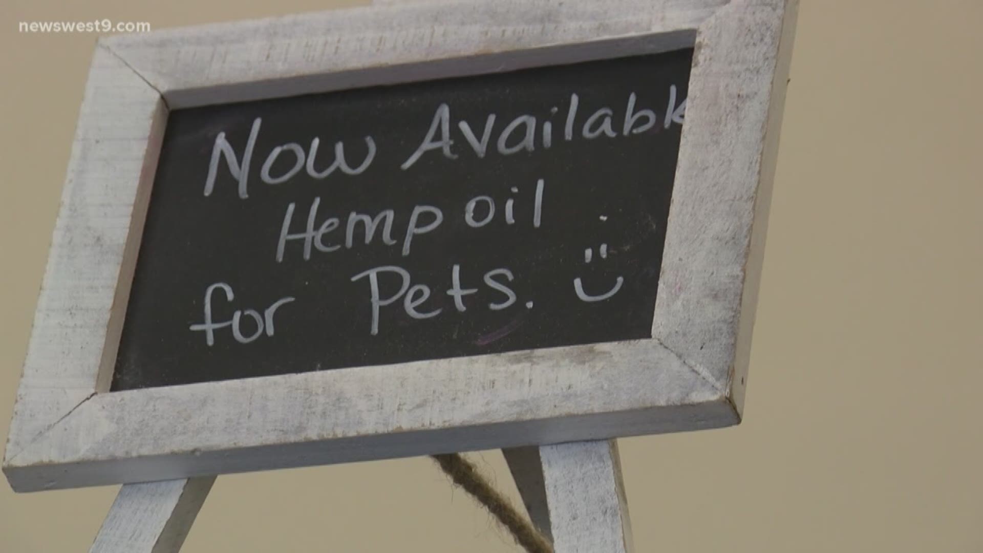 CBD oil products now hitting pet store shelves