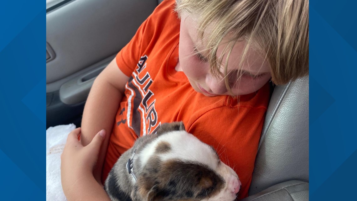 Kermit boy finds perfect match in new puppy at Odessa Animal Shelter