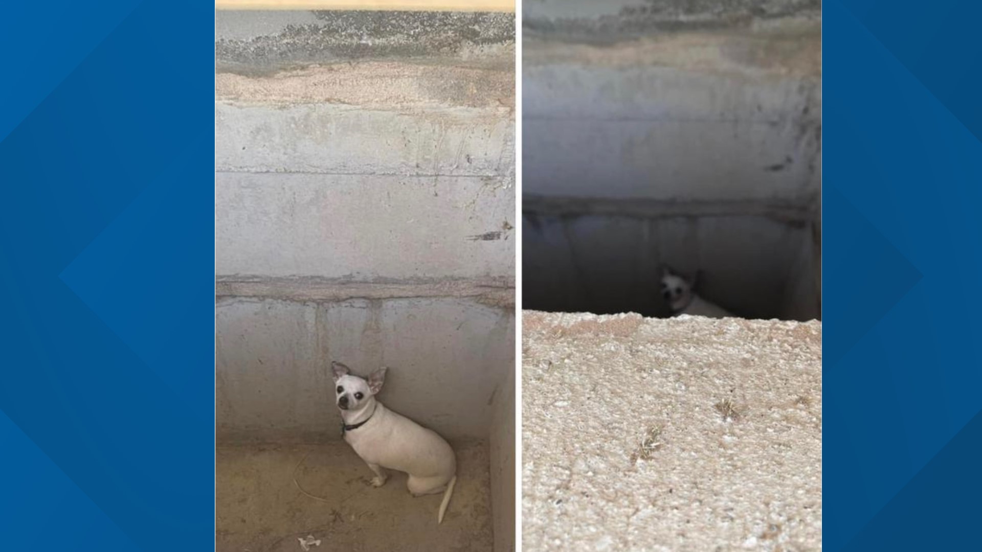 Thanks to the power of social media, the Yzarra family was able to find and rescue their dog that got stuck in a storm drain.