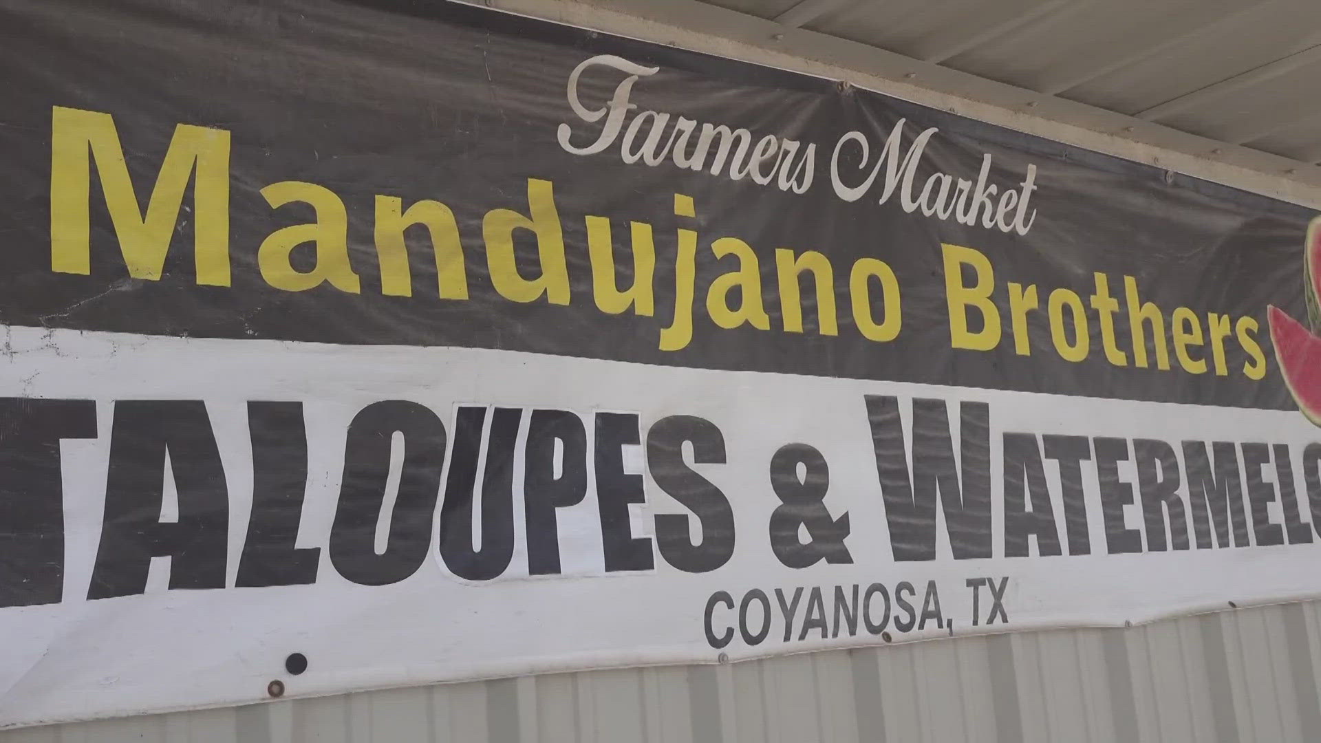 Since 1997, the Mandujano Brothers have harvested and distributed their ‘Pecos Fresh' cantaloupes, watermelons and more out of Coyanosa, a small town in West Texas.