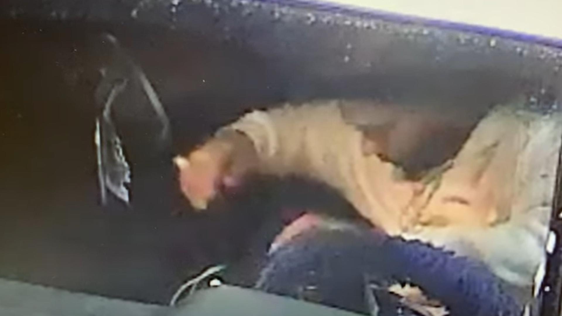 Midland Crime Stoppers seeks public's help in locating December hit-and ...