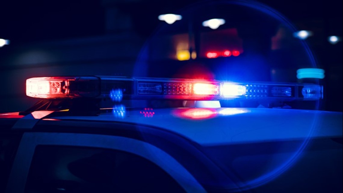 Traffic slowdown in Martin County along I-20 Thursday caused by dead cows - Vimarsana News