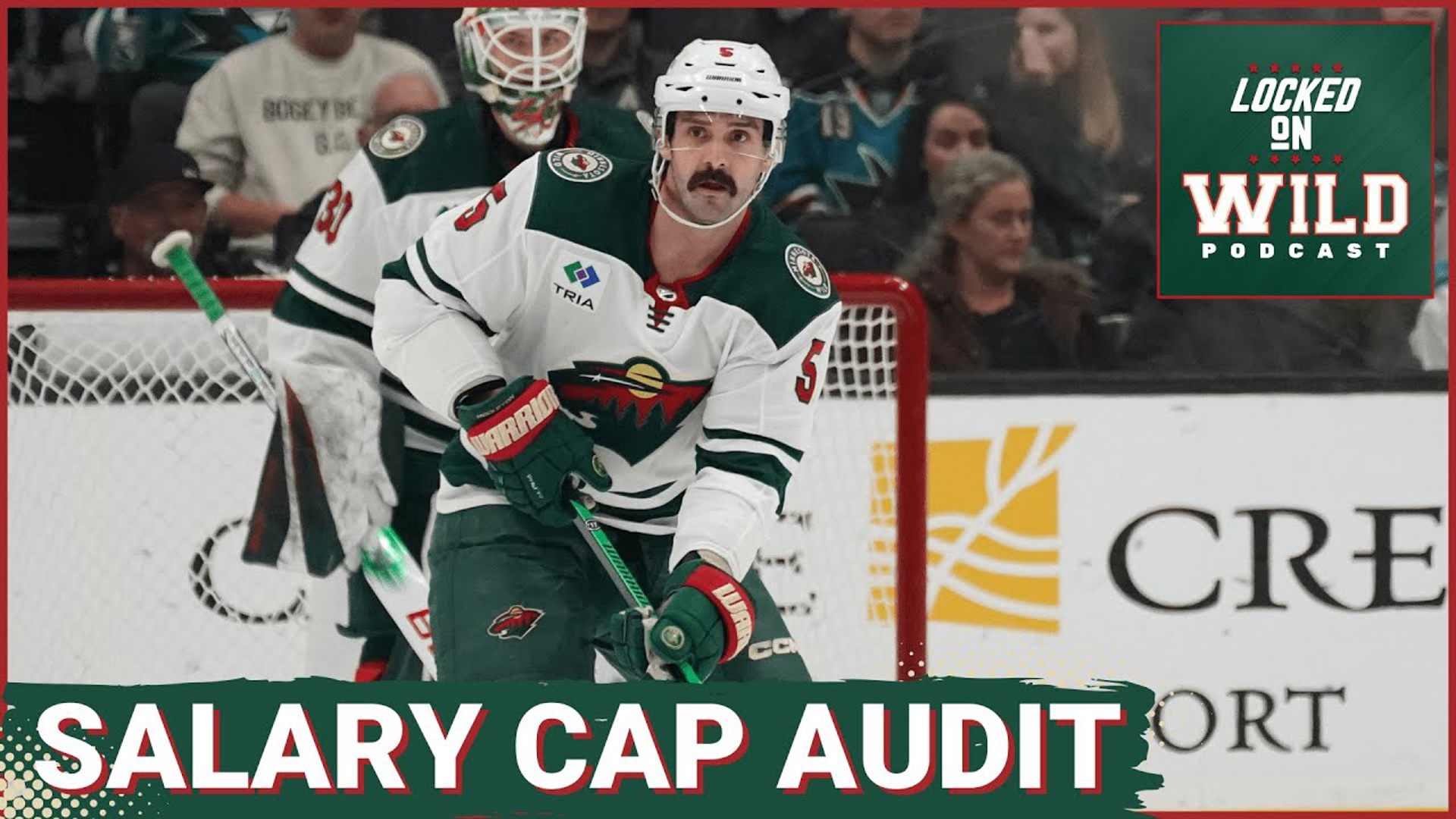 An Audit of the Minnesota Wild Salary Cap Situation