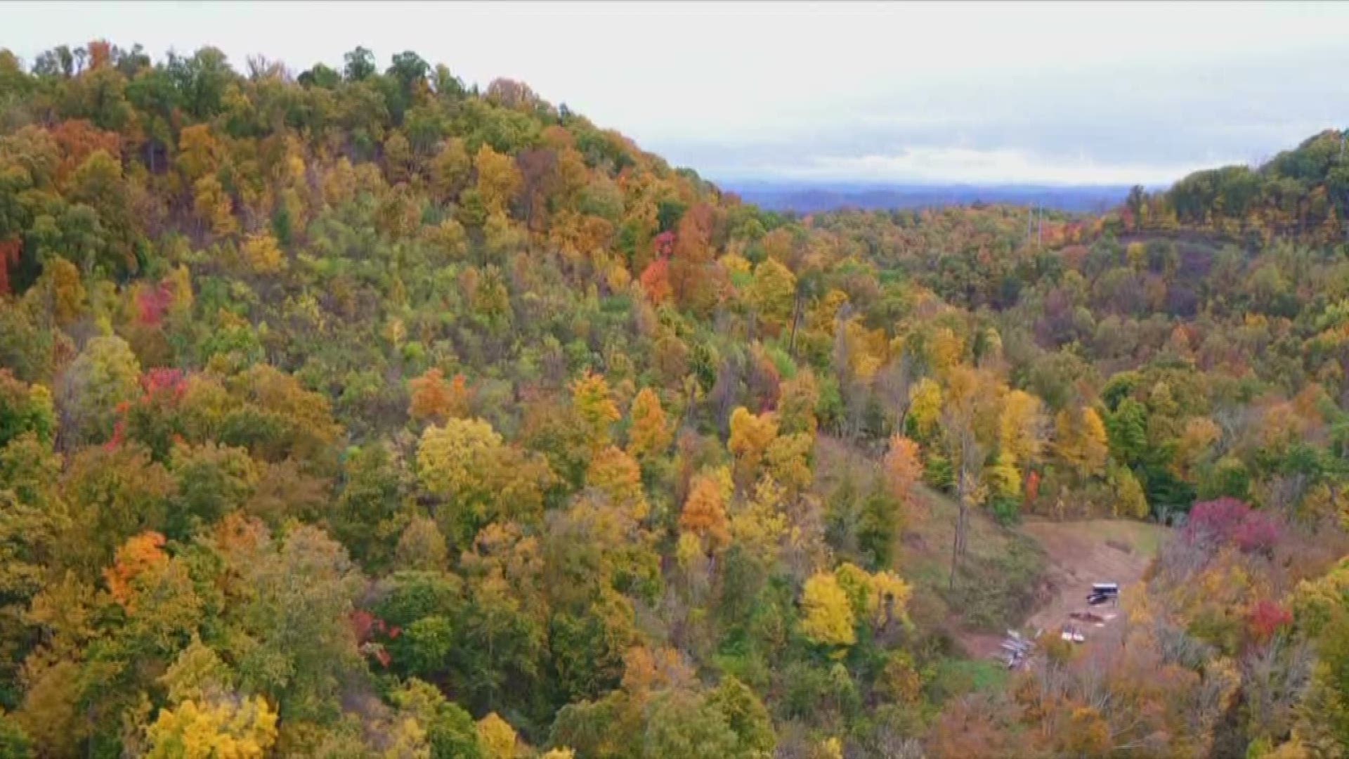 The fall colors were bright and beautiful in East Tennessee for the first week of November.