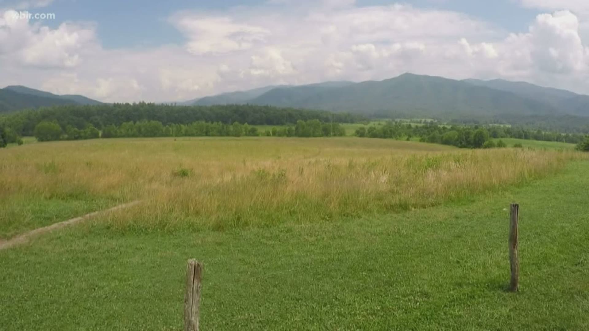 An East Tennessee photographer is sharing her story after suffering a heart attack in Cades Cove.