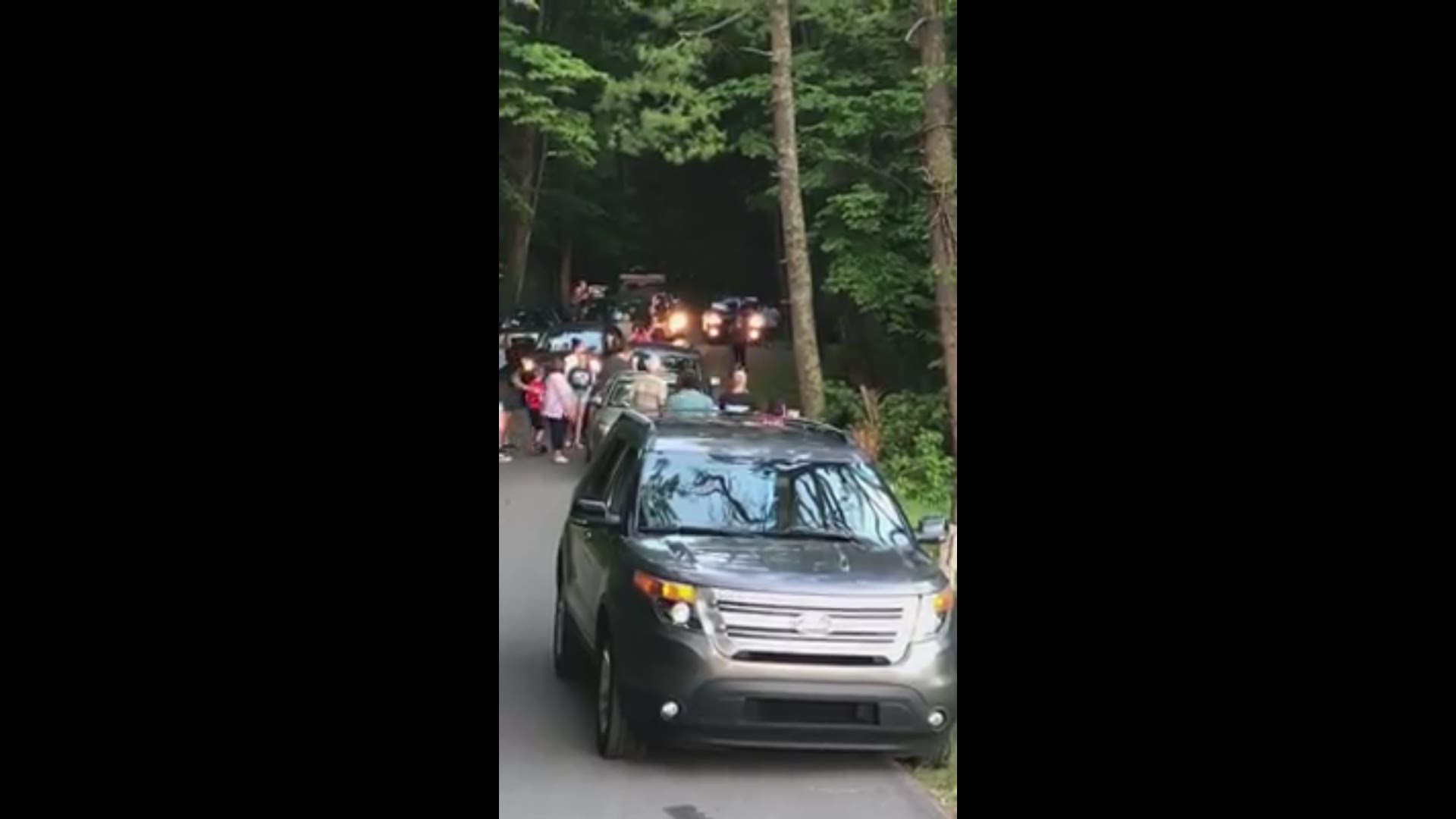 Park regulations require you to stay 50 yards away from bears at all times, according Great Smoky Mountains National Park Spokesperson Dana Soehn.