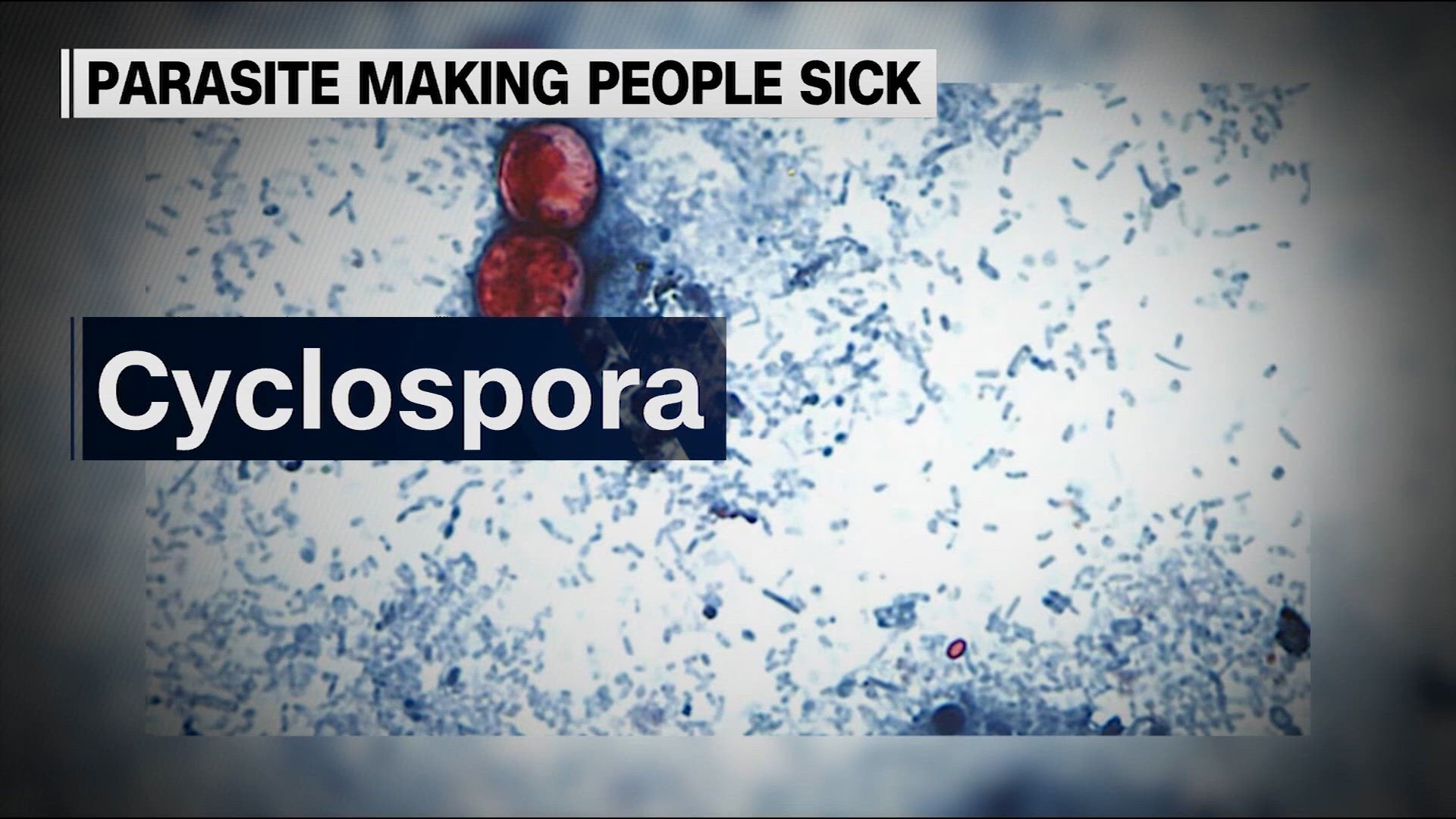 Cyclospora cases rise, water park safety tips and what's really behind