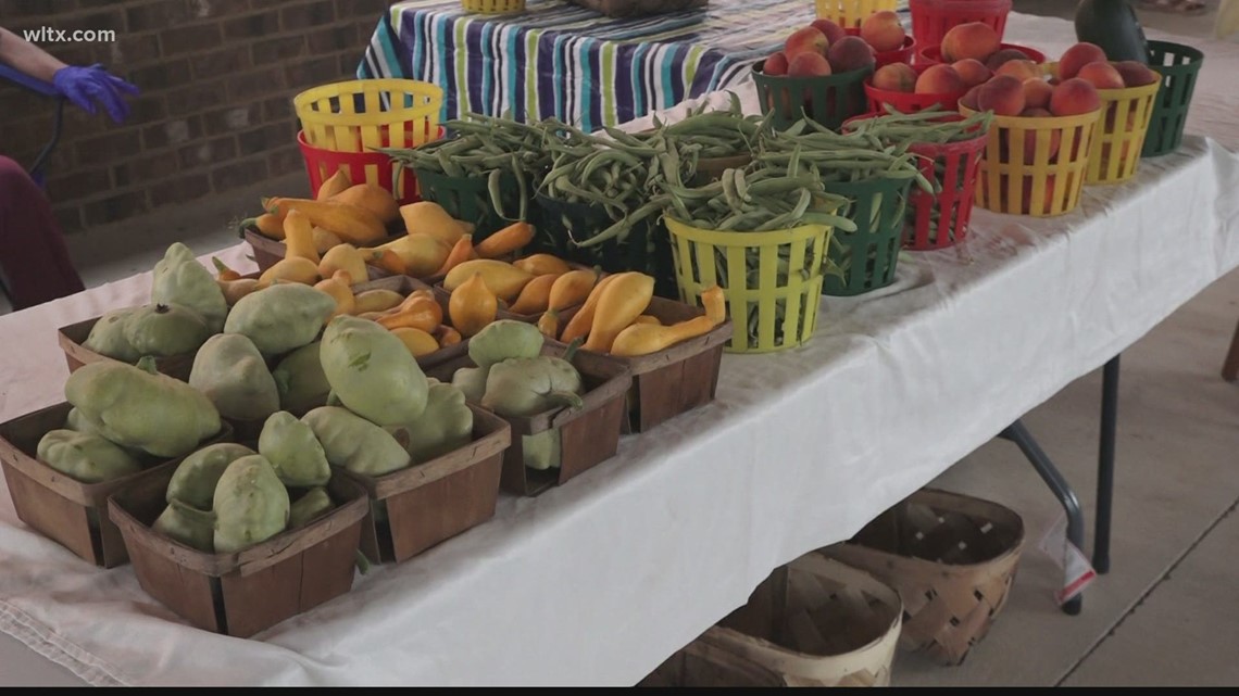 Odessa Farmers Market opens season at MCH